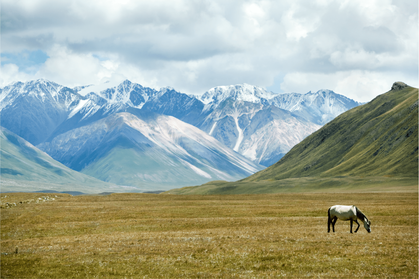 Вышла в свет книга по экологии для детей на кыргызском языке